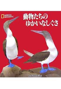 1605020030AP01N